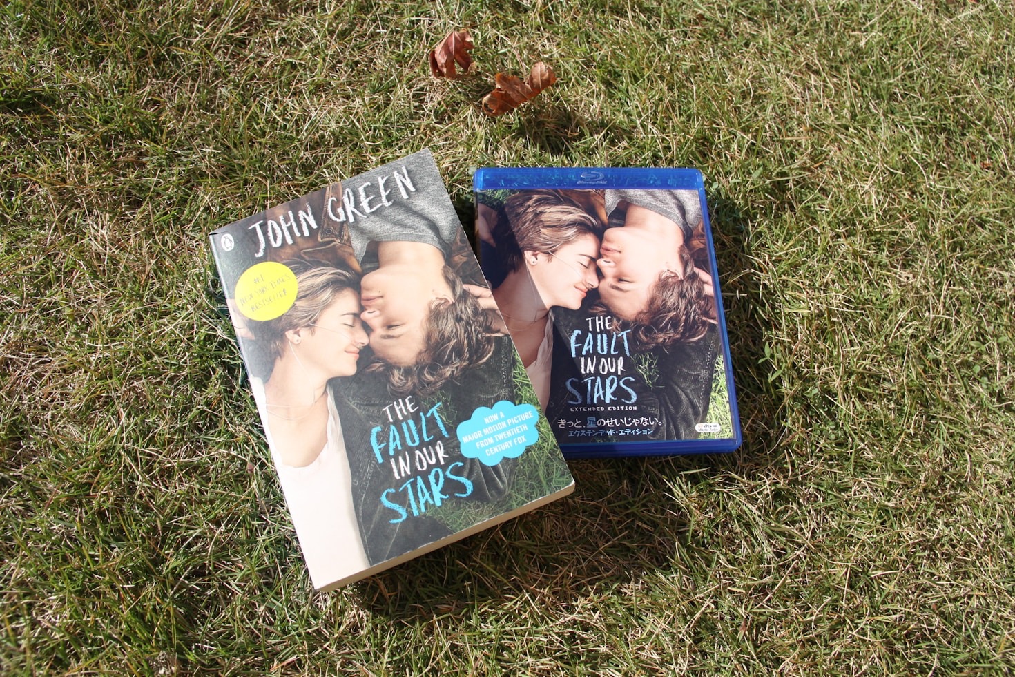 Top 5 Must-Read Books by Sadie Spencer